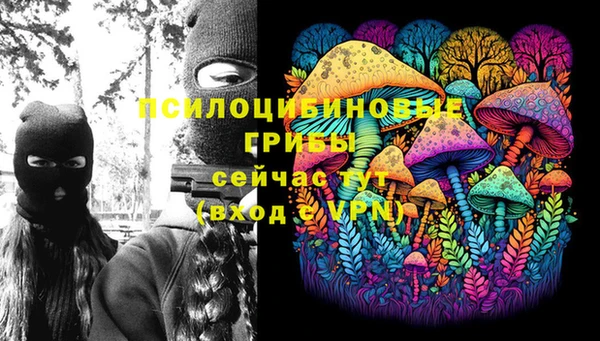 синтетический гашиш Медногорск