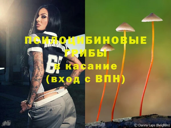 прущая мука Медвежьегорск